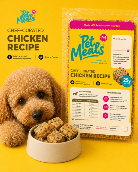 Chicken Recipe